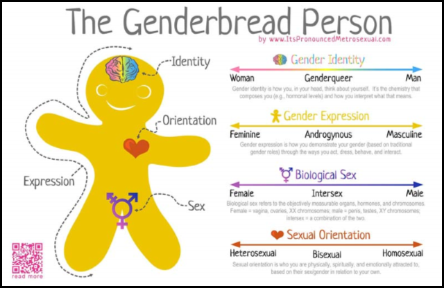 Frame Genderbread Person